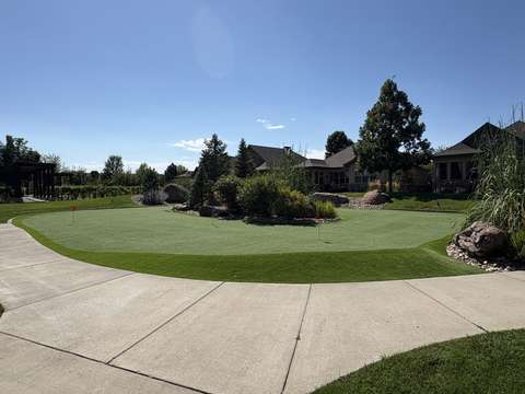 The putting green from the driveway side, fringe turf meeting the concrete edge, near Windsor, Colorado